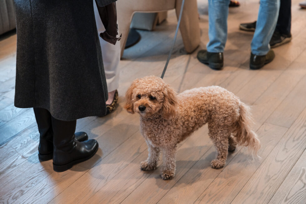 Park City Corporate Event Photography - Dog Friendly